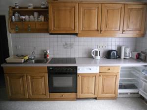 Kuchyň nebo kuchyňský kout v ubytování Ferienwohnungen/Holiday Apartments Lederer