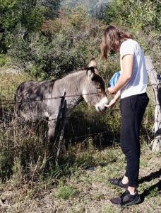 una mujer está acariciando una cabra detrás de una valla en La Loma en La Cumbre