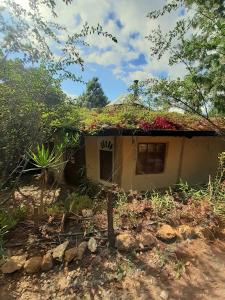 a small house with flowers on the roof at Zuna in Sutamarchán +20 photos