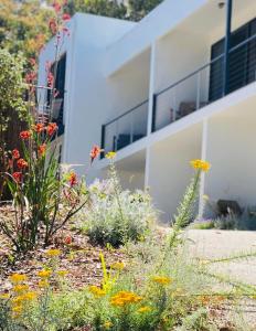 a white building with flowers in front of it at Lorne Surf Apartments in Lorne