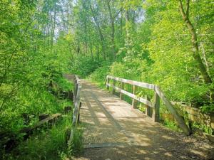 a wooden bridge on a trail in the woods at The Nook & Cranny Bsmt Suite, Near WEM & DT, Fast WiFi! Sleeps 4 in Edmonton