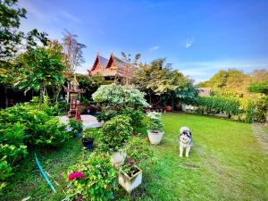 Zahrada ubytování MrT Riverside Sampran มิสเตอร์ที โฮมสเตย์-ชมนาด