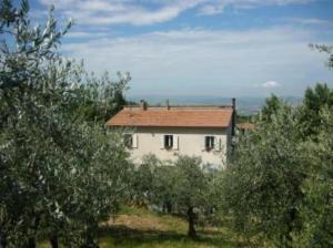 una casa en medio de un campo con árboles en Canalicchio Apartment Strategic for visiting Umbria, en Canalicchio