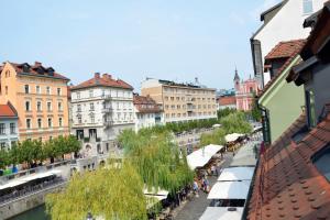 - une vue sur une ville avec des bâtiments et une rivière dans l'établissement Central Comfort Apartments Meščanka, à Ljubljana