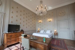 TV a/nebo společenská místnost v ubytování L'Hotel de Panette, Un exceptionnel château en coeur de ville