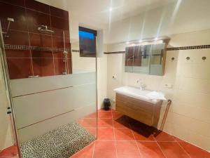 ein Bad mit einem Waschbecken und einer Dusche in der Unterkunft Natursport Heutal Appartements in Unken