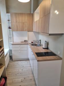 A cozinha ou cozinha compacta de Igo apartment Uzupis