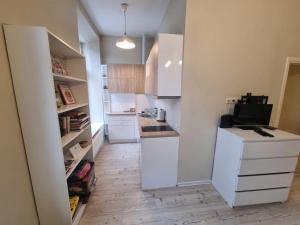 A cozinha ou cozinha compacta de Igo apartment Uzupis