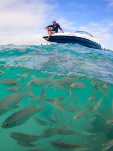 a man on a boat with a group of fish in the water at Pousada Do Vozinho in Touros