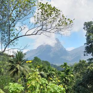 Gallery image of Palabaddala Tea and Eco Lodge in Ratnapura +102 photos
