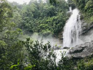 Gallery image of Palabaddala Tea and Eco Lodge in Ratnapura