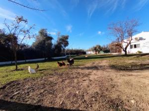 Fotografie z fotogalerie ubytování Casa de Campo Los Manueles Ideal Perros Pet Friendly v destinaci Gójar