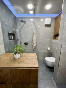 a bathroom with a toilet and a sink with a plant at Mozgan Apartments in Piran