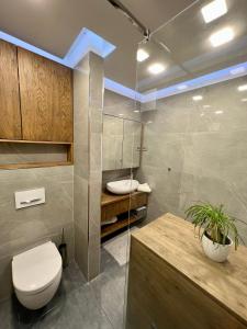 a bathroom with a toilet and a glass shower at Mozgan Apartments in Piran