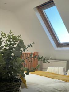 a bedroom with a bed with a plant next to it at Gateforth Flat-Lovely 1 Bed in the heart of Central London in London