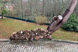 uma pilha de troncos sentados ao lado de uma árvore em Quinta do Tojal - Tourism immersed in nature! 