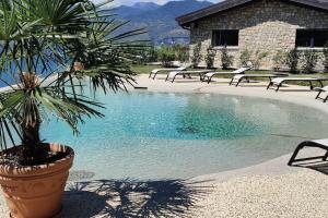 una piscina con sedie e una palma di fronte a un edificio di Villa Divina22-APT Unica-Con piscina e vista lago a Castelletto di Brenzone
