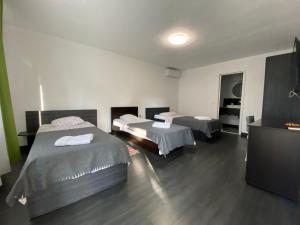 a room with two beds and a television in it at Pensiunea Damir in Arad