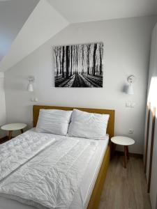 a bedroom with a bed with a picture on the wall at Sunshine Apartments Golte C1 in Mozirje