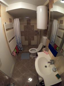 a bathroom with a sink and a toilet at Vila Jovanka Zlatibor in Palisad