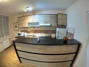 a kitchen with a counter top and a refrigerator at Vila Jovanka Zlatibor in Palisad