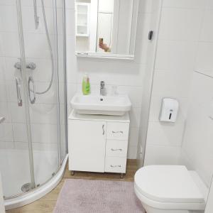uma casa de banho com um WC, um lavatório e um chuveiro em A BLOK1 NEW BELGRADE em Novi Beograd