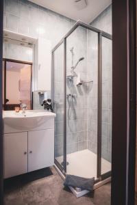 a bathroom with a shower and a sink at Haus Österreich - Familie Digruber in Lackenhof