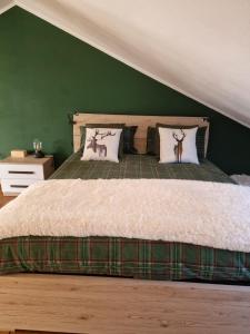 Home holidays- attico arc en ciel في سيستريير: غرفة نوم بسرير مع جدار أخضر