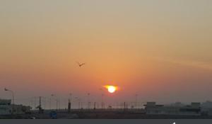 un oiseau volant devant le soleil couchant dans l'établissement Al Basateen Hotel Apartment, à Sour