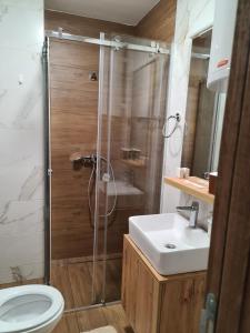 Kamar mandi di Apartmani Gavric Borovi 2