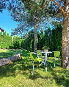 a table and chairs sitting under a tree in the grass at Apartmani Milicevic Zlatibor in Zlatibor
