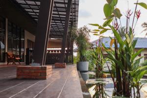 a courtyard with plants and a building at The Green Koh Phangan in Haad Rin