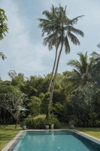 a swimming pool with two palm trees in the background at Merchant House in Ahangama +14 photos