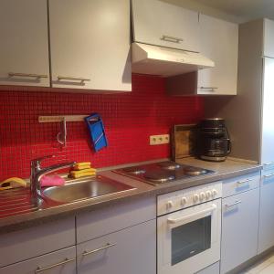 a kitchen with a sink and a red tiled wall at Ferienwohnung in Ostseenähe in Kröpelin
