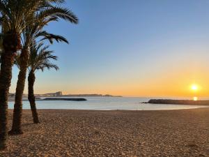 two palm trees on a beach at sunset at Montserrat in Calonge