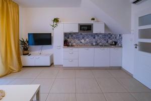 Kuchyň nebo kuchyňský kout v ubytování Duplex apartmán Pálava