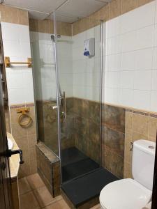 a bathroom with a shower and a toilet at Apartamentos de Astroturismo la Cañada in Torrejón el Rubio