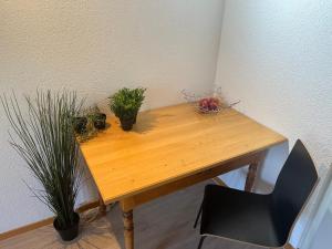 a wooden table with potted plants on top of it at the Jad B&B in Comoret