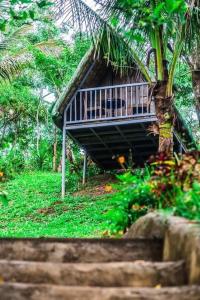 Zahrada ubytování Camp Mayagay Tanay Rizal