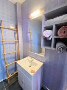 a bathroom with a sink and a mirror at Joli studio proche de toutes commodités in Les Trois-Îlets