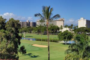 a palm tree in front of a golf course at Kaanapali Royal B201 in Lahaina