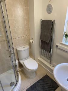 uma casa de banho com um WC, um chuveiro e um lavatório. em 3 Bedroom Lodge with hot tub on lovely quiet holiday park in Cornwall em Gunnislake