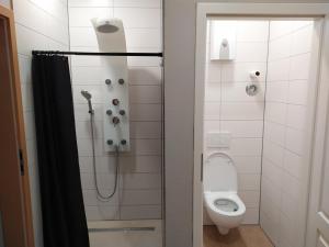 ein Badezimmer mit Dusche und Toilette in der Unterkunft Private Microapartment - Free Parking - WLAN in Stuttgart