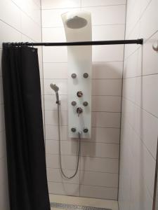 eine Dusche mit Duschkopf und Duschvorhang in der Unterkunft Private Microapartment - Free Parking - WLAN in Stuttgart