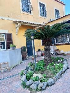 a palm tree in a garden in front of a building at Il CASALETTO di Laura in Fiumicino