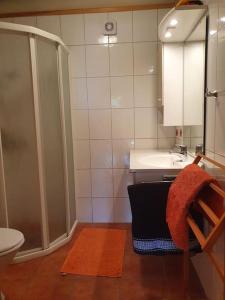 a bathroom with a shower and a sink and a toilet at Vingvågen hygge og ro in Hitra