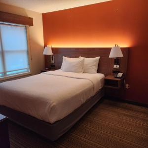 a bedroom with a large bed in a hotel room at Hawthorn Suites by Wyndham Erie in Erie