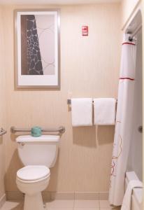 a bathroom with a toilet and a picture on the wall at Hawthorn Suites by Wyndham Erie in Erie