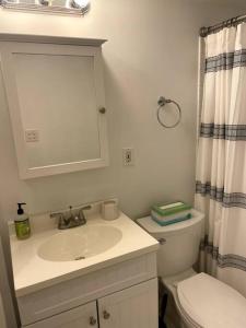 a bathroom with a sink and a toilet and a mirror at Lovely Two Bedroom Condo in South Boston in Boston