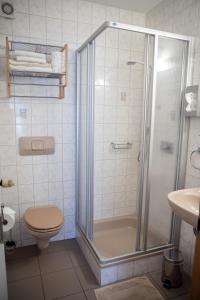 La salle de bains est pourvue d'une douche et de toilettes. dans l'établissement Geisbergerhof, à Bad Birnbach